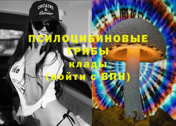 синтетический гашиш Балахна